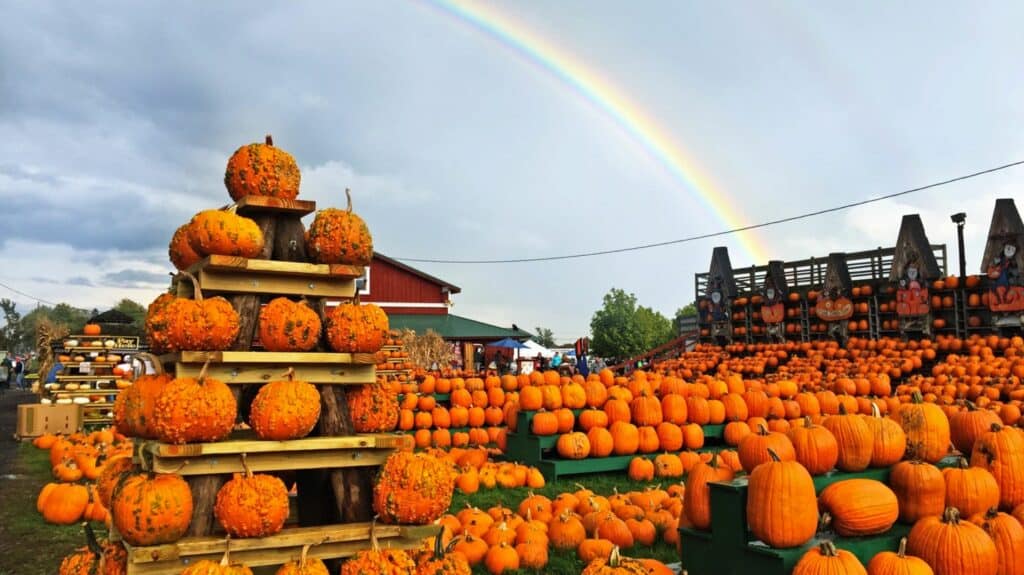 PORTADA Festivales Otoño Estados Unidos