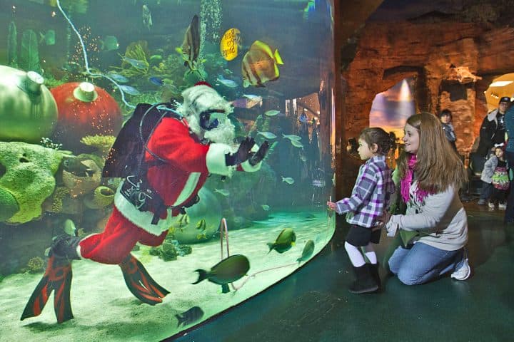 Santa Underwater. Foto-Las Vegas Weekly