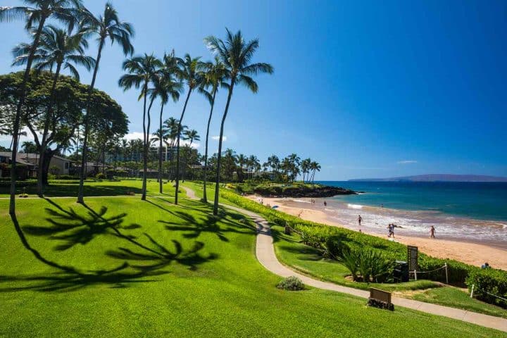 Con sus playas famosas a nivel mundial y espectacular clima tropical, ¡Maui ofrece algo para todos! 