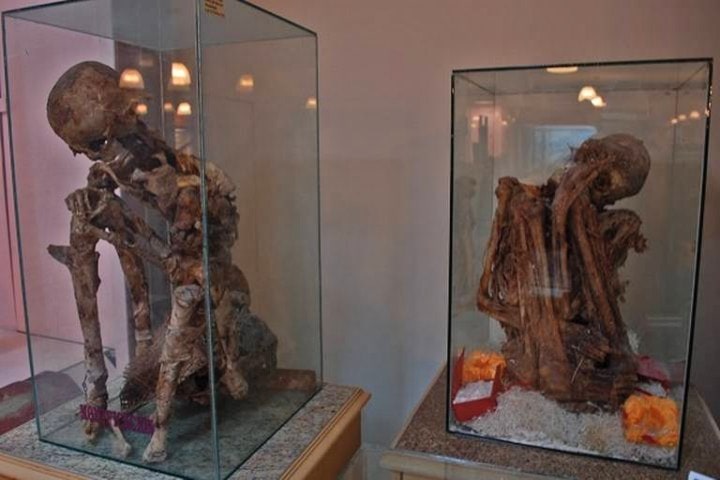 Momias en el Museo de Paleontología de Delicias. Foto-Heraldo de Chihuahua