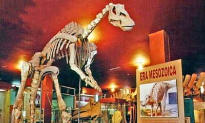 PORTADA Museo Paleontología Delicias