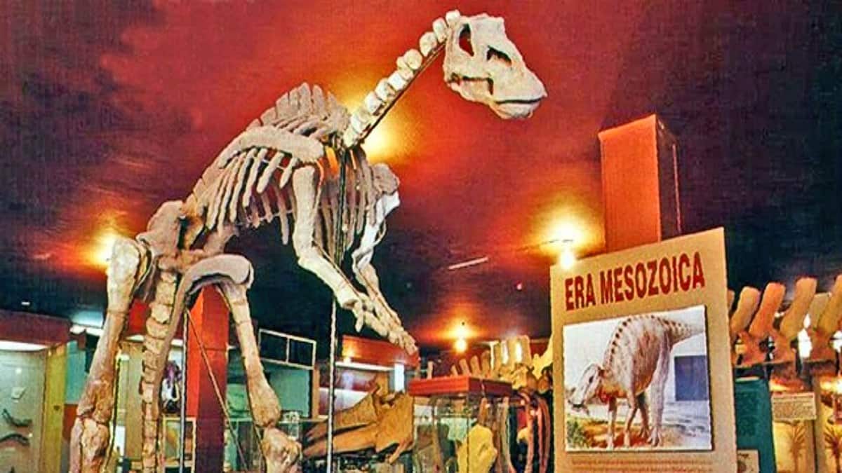 PORTADA Museo Paleontología Delicias