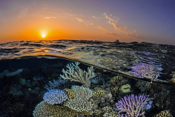 Atardecer en la Gran Barrera de Coral. Foto-Web
