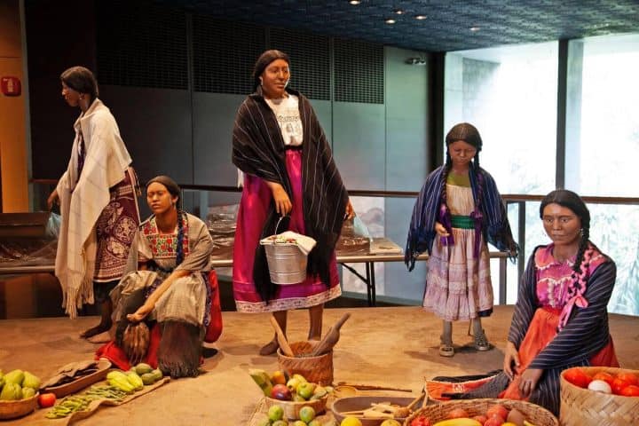 Culturas Indígenas Museo Nacional Antropología. Foto-Web