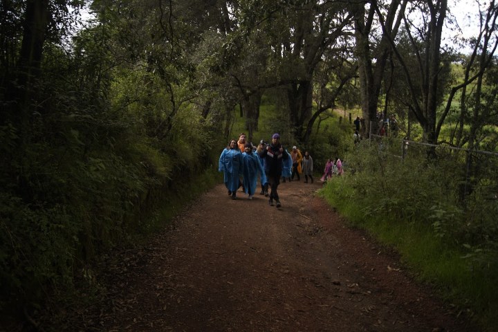 EXTRA. Excursión de luciérnagas a Tlaxcala. Foto - Rehiletes