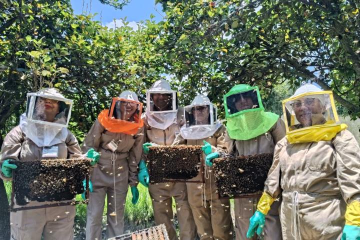 EXTRA. Experiencia de apicultor en Tlaxcala. Foto - Rehiletes
