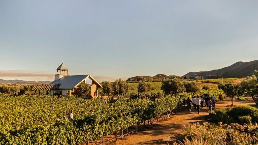 PORTADA Valle de Guadalupe