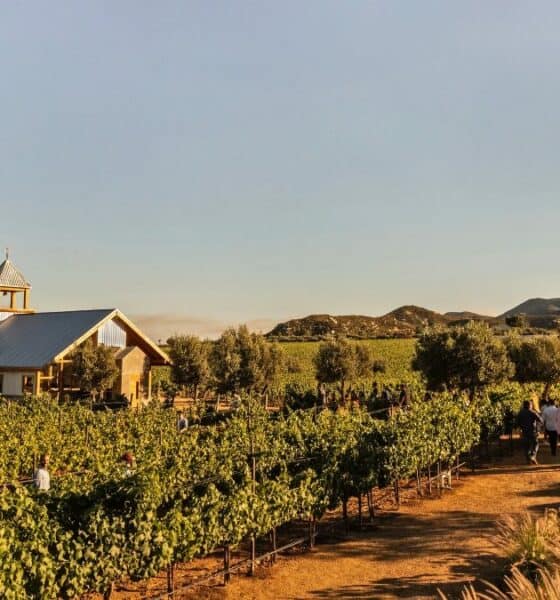 PORTADA Valle de Guadalupe