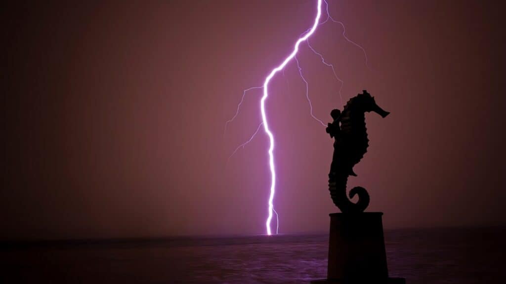 PORTADA Malecón Puerto Vallarta