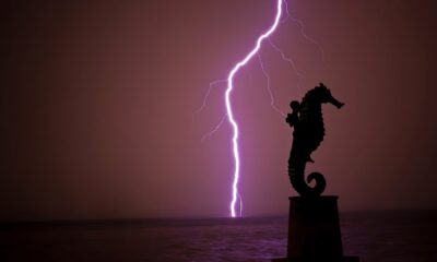 PORTADA Malecón Puerto Vallarta