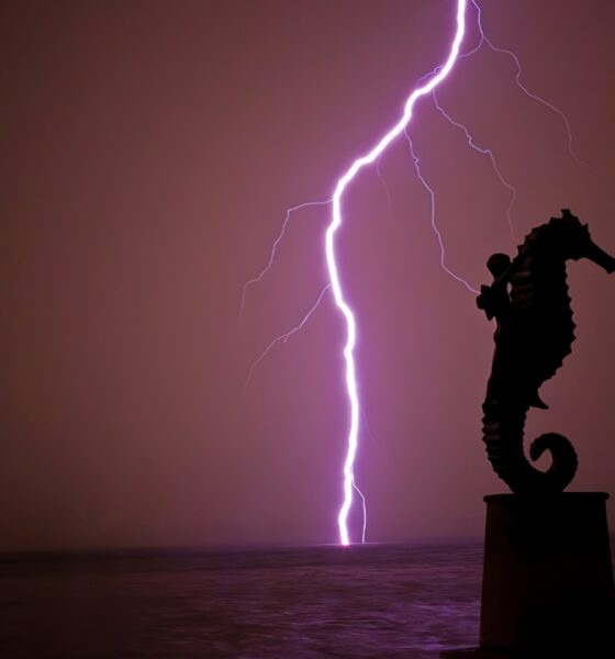 PORTADA Malecón Puerto Vallarta