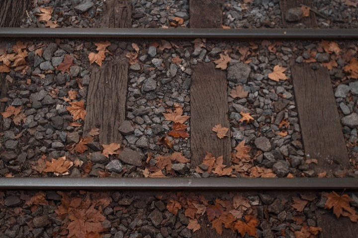 1. Vías del tren con hojas caídas. Foto - @felipepelaquim (Unsplash)