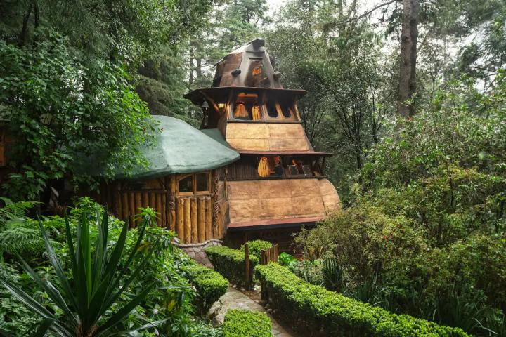 2. Esta estructura de la casa de Jaime Maussan esta construída de un árbol seco de la región. Foto - Airbnb