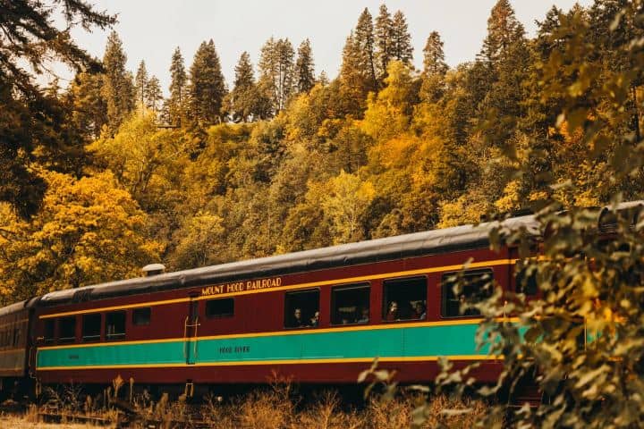 2. Fall Train. Foto - Mount Hood Railroad