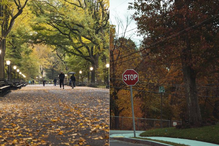 7. Central Park en otoño. Foto - Andrea Belussi (Unsplash) / Massachusetts en otoño. Foto - Eilis Garvey (Unsplash)