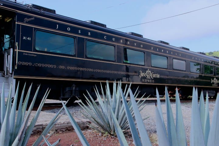 9. Tren Tequila Express. Foto - Nota de prensa Guadalajara