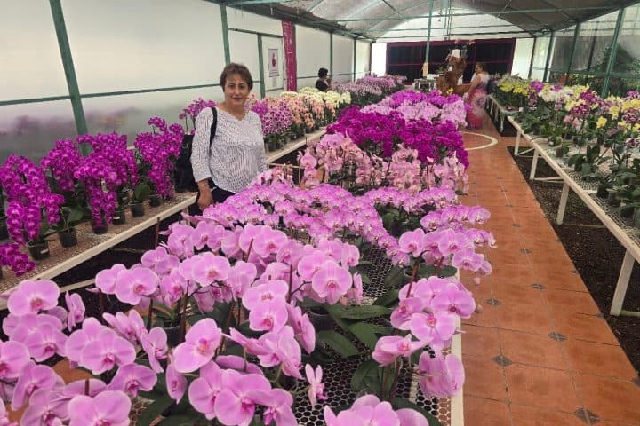 EXTRA. Visita a orquidiario en Puebleando por Morelos. Foto - Rehiletes