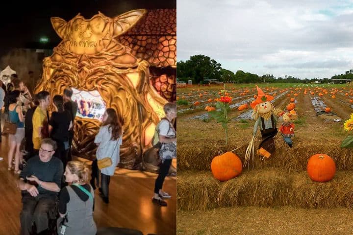 6. (De izquierda a derecha) Frost Museum of Science, “Bugs” y Harvest Festival. Fotos - OutClique Magazine & Paula Mota Tienne (Facebook)