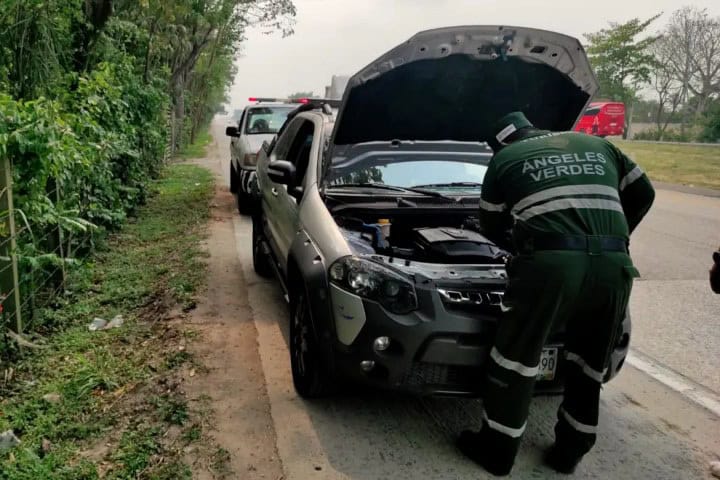 1. Ángeles Verdes. Foto - Forbes México