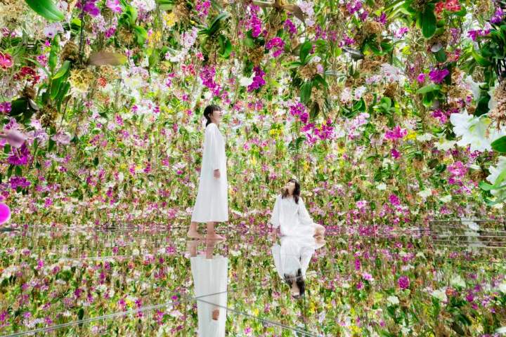 7. Jardín de flores flotantes. Foto - Klook