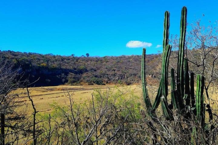 7. La Hoya Solis. Foto - Mauricio Hernández (X)