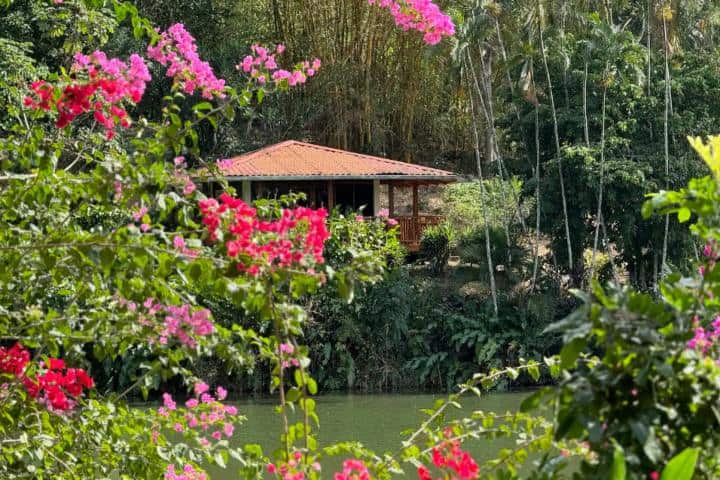 8. Hermosa Cabaña Natural. Foto - Airbnb