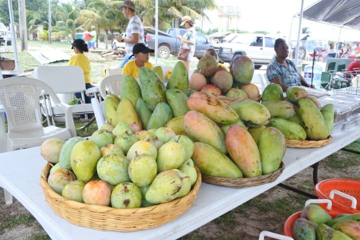 9. Festival del Mango. Foto - Belize