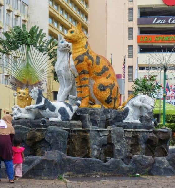 PORTADA KUCHING LA CIUDAD DE LOS GATOS