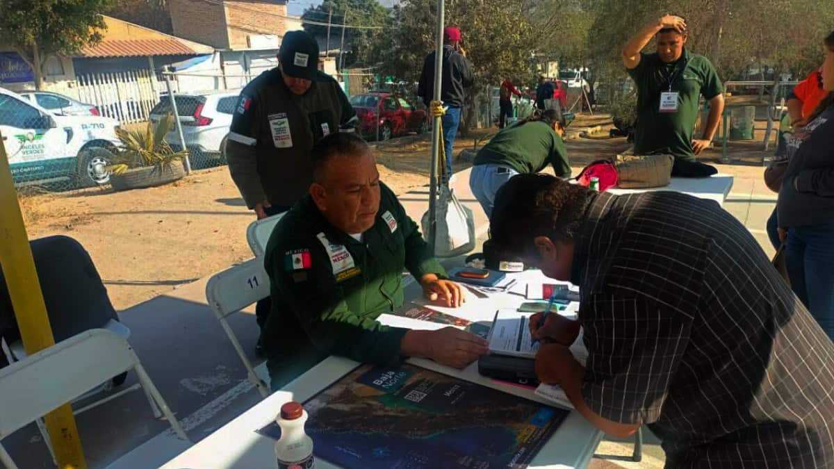 PORTADA ANGELES VERDES SE UNEN A LA BRIGADA DE PAZ