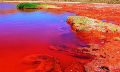 PORTADA Lago de Sangre