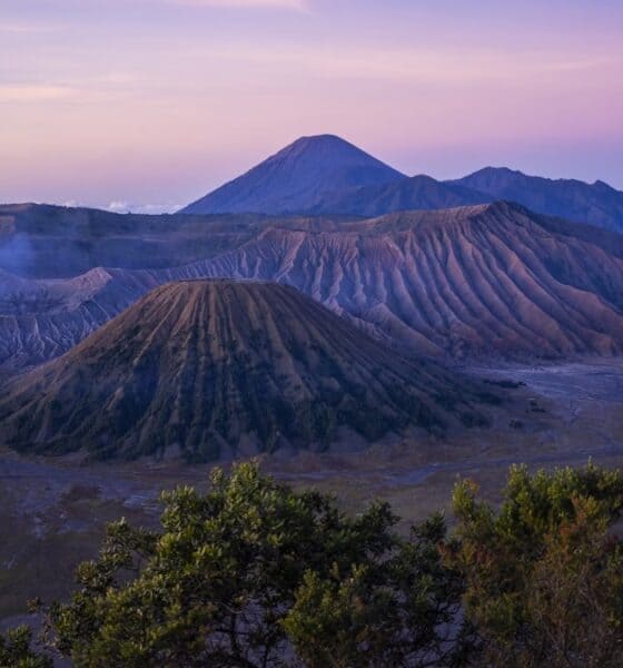 PORTADA MONTE BROMO