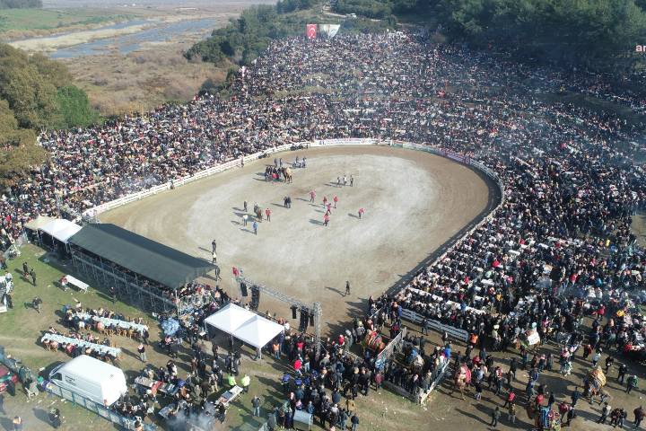 1. Público en arena de una pelea de camellos. Foto - Anka Haber Ajansı