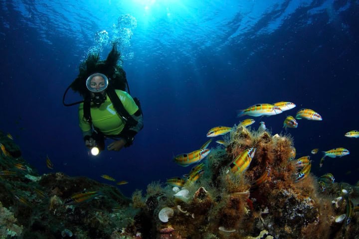 10. Bueco en Baixa Rasa, a 500 metros de la Isla de Flores. Foto - dive.visitazores.com