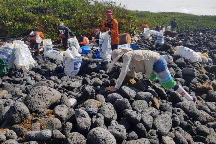 13. Limpieza en las Islas Galápagos. Foto - Mediotiempo