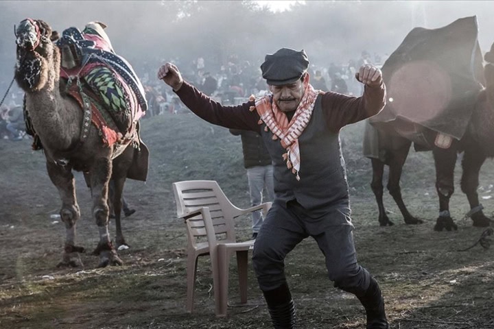 2. Fiesta previa a la pelea de camellos. Foto - Anadolu Ajansı