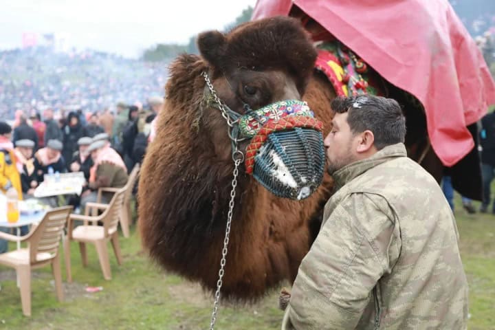 4. Dueño con su camello de pelea Foto - İz Gazete