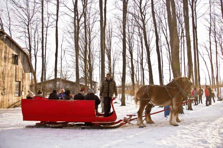 5. Paseo en trineo afuera de una cabaña de azúcar. Foto - Terroir et Saveurs du Québec