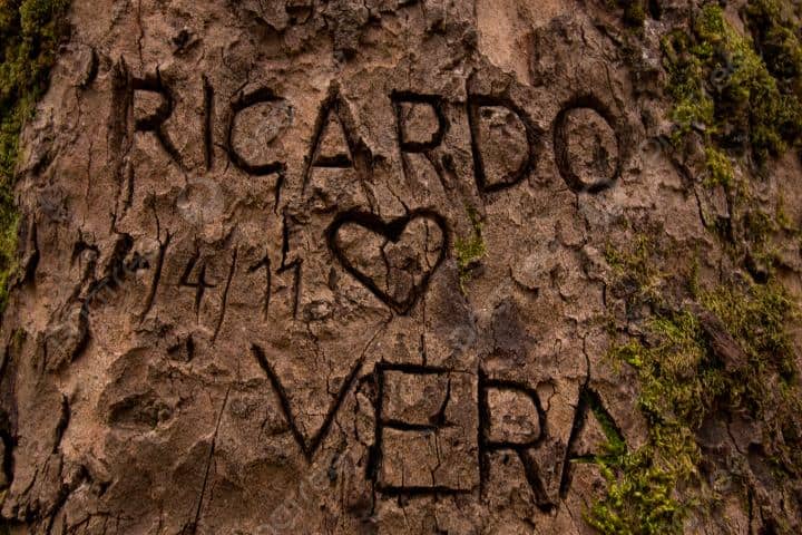 6. Nombre grabado en la corteza de un árbol. Foto - Pngtree