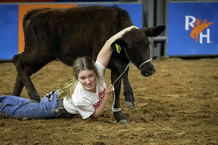 7. Revuelta de terneros. Foto - Houston Chronicle