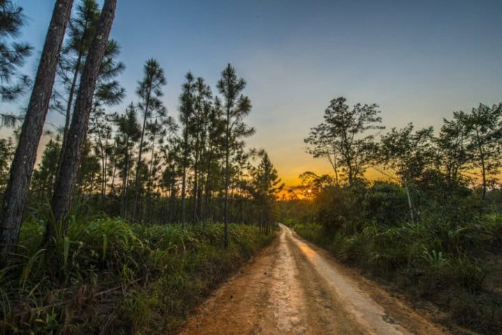 7. Puesta de sol en la Reserva Natural de Pine Ridge. Foto - Archivo Belice