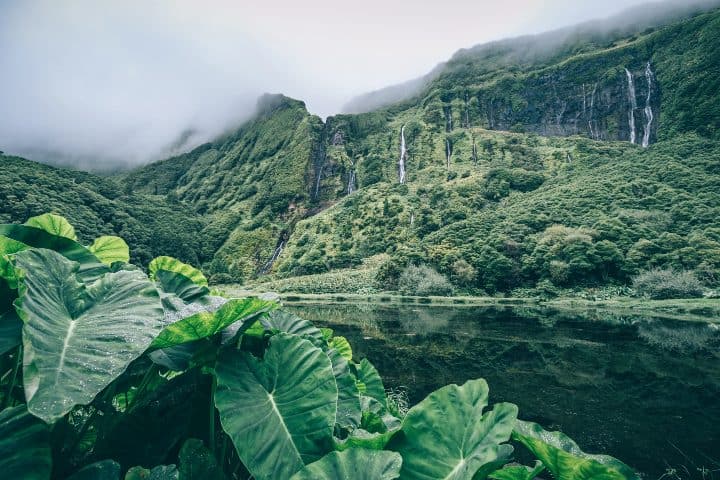 8. Pozo de la Ribeira do Ferreiro en Isla de Flores. Foto - Expedia