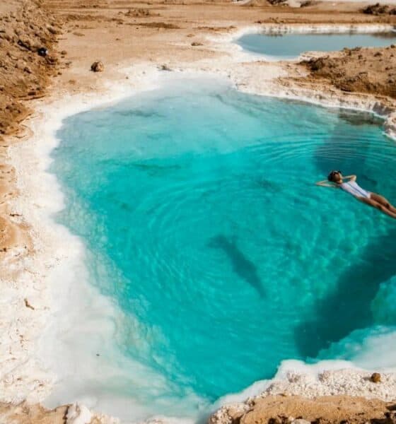 EL OASIS DE SIWA