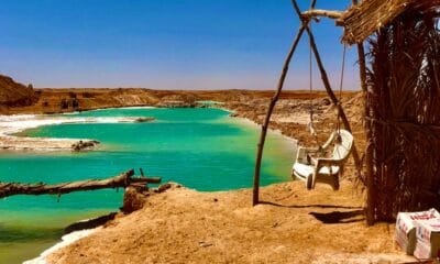 EL OASIS DE SIWA