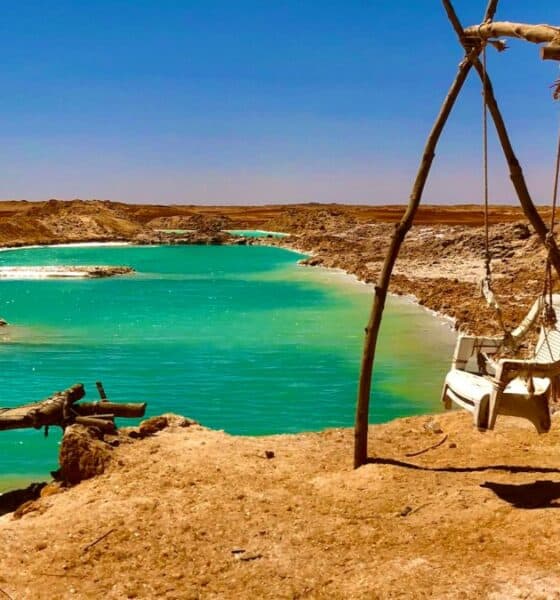 EL OASIS DE SIWA