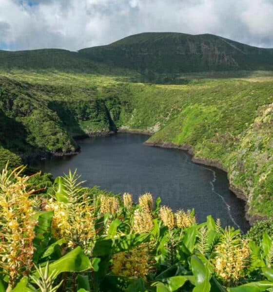 ISLA DE FLORES EN PORTUGAL