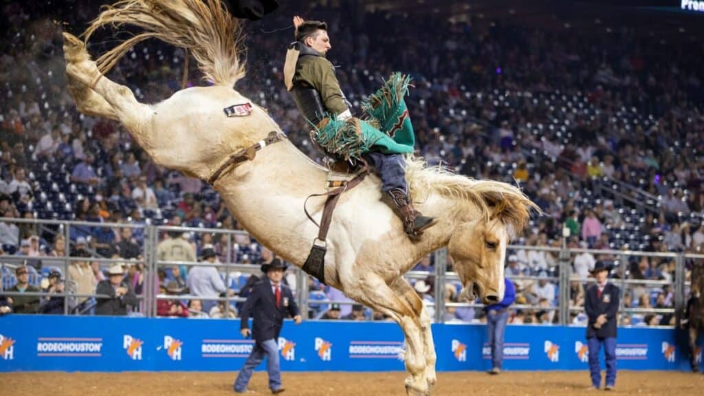 LOS RODEOS DE HOUSTON, TEXAS