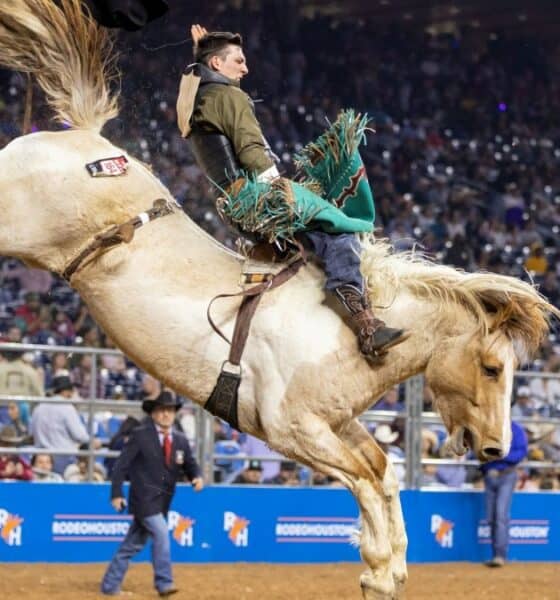 LOS RODEOS DE HOUSTON, TEXAS