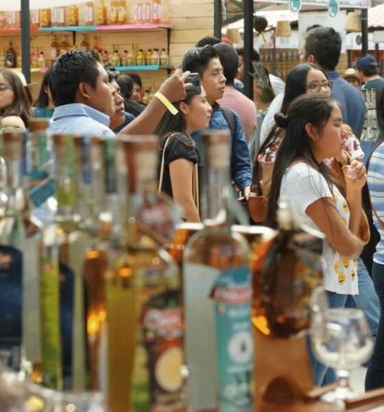 PORTADA FESTIVAL AMOR Y MEZCAL