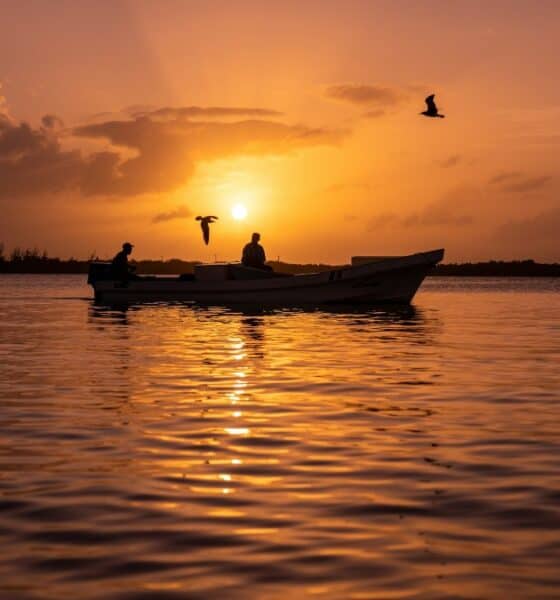 PUESTAS DE SOL EN BELICE