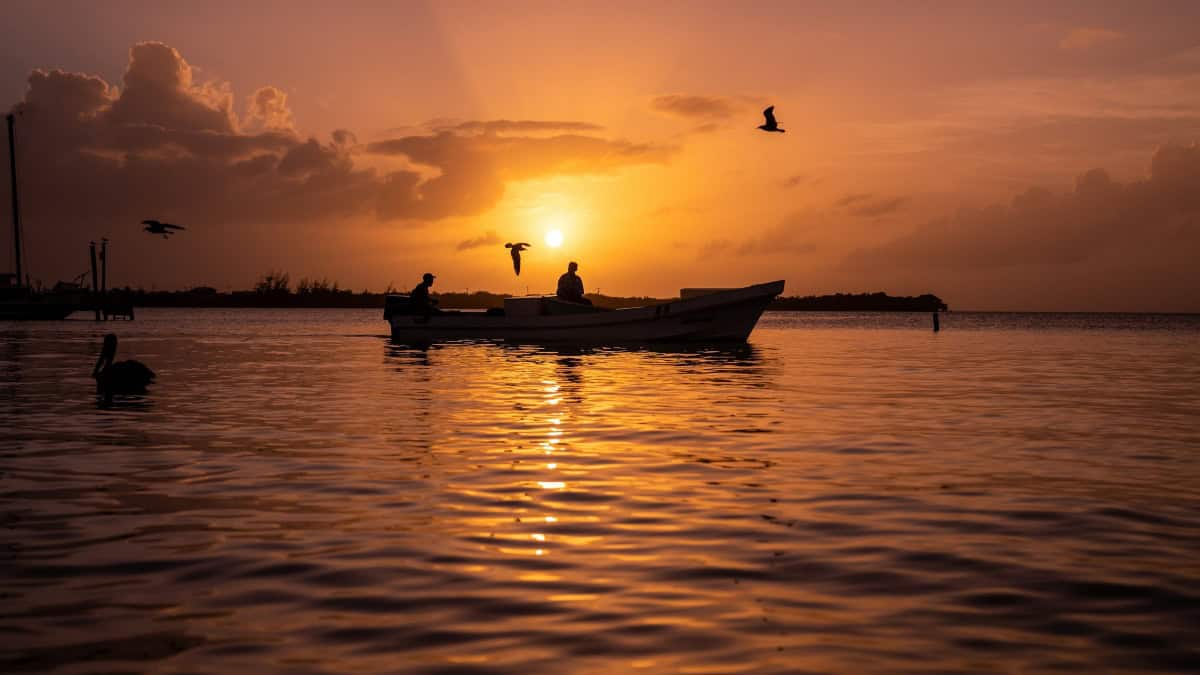 PUESTAS DE SOL EN BELICE